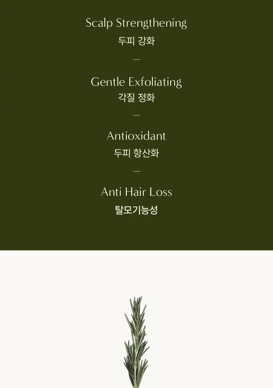 [탈모증상완화] 아로마티카 로즈마리 솔트 스크럽 샴푸 300g 기획(+로즈마리 컨디셔너 100ml) 상세페이지 3